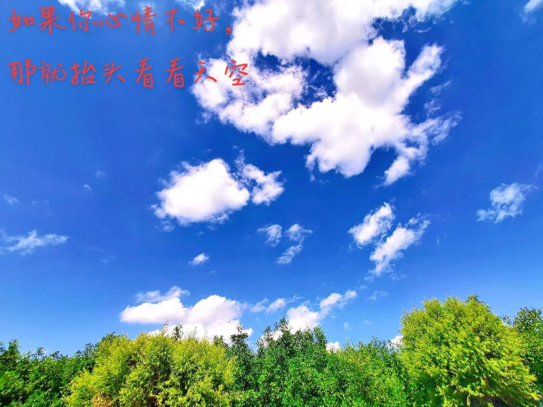 杨瀚森工作室:向上走的路从来不是轻松顺畅的 放平心态继续提升
